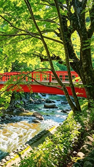 5日4晚 • 日本大分、福岡親子溫泉之旅 九醉溪-九重夢吊橋、糸島夫婦岩、宮地嶽神社