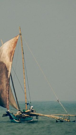 7D6N • 7-Day Private Guided Tour of Sri Lanka ending in Arugambay