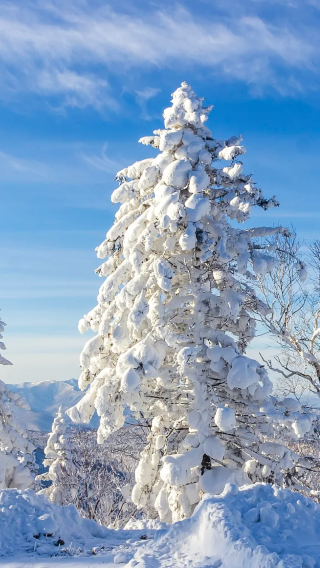 6天5晚 • 哈爾濱＋長白山＋延吉＋雪鄉