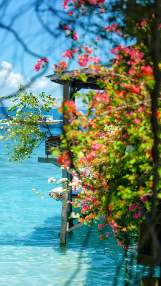 7日6晚 • 沙巴7天6晚·雙城紀行水屋版：住進海上水屋、紅樹林｜神山任選＋跳島海釣