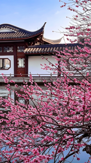 5日4晚 • 橫店影視城＋杭州：橫店换装玩轉古今 一秒穿越五千年 