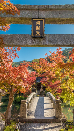 6 วัน 4 คืน • KYOTO OSAKA TAKAYAMA LOVE AUTUMN โดยสายการบินไทย [TG]