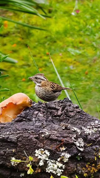 3D • Deep ecological adventure tour in Peru's Manú National Park