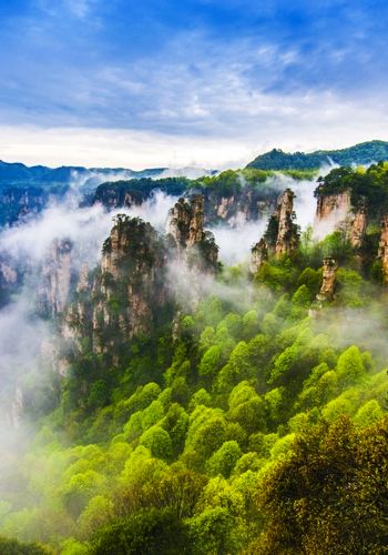 4D3N • Zhangjiajie In-Depth Slow Tour: Small Group of 6, 2 Days National Forest Park + Tianmen Mountain, International 5-Diamond Hotel, Complimentary 72 Wonders Tower Visit