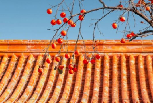 5日4晚 · 旅行團 · 北京+故宮博物院+八達嶺長城+中國國家博物館+天壇公園+頤和園+恭王府·核心區4鑽酒店連住+明星導游精講+慢遊皇城+一天2，3個核心景點+故宮深度講解懶遊