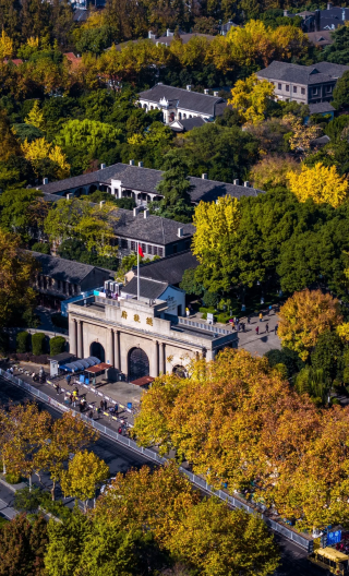 4D3N • Nanjing + Nanjing Confucius Temple + Nanjing Museum + Nanjing Presidential Palace: Custom Private Tour