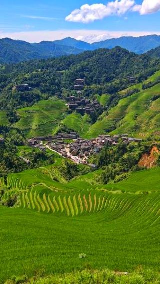 4D3N • Guilin + Longshen + Yangshuo:  Longji Rice Terraces with round-trip cable car + 3-star Li River  cruise + Yulong River rafting