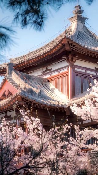 4泊5日 • 西安・兵馬俑・華清宮・興慶宮公園・西安博物院・西安城壁・大唐不夜城・「長恨歌」公演