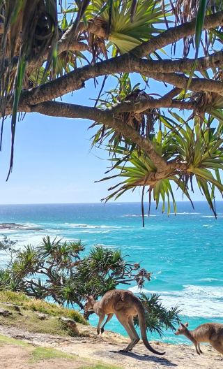 4D3N • Australia + Cairns