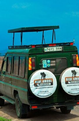 5D4N • Top Best 5 Days Tanzania Luxury Safari to Serengeti