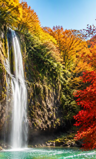 6D5N • Zhangjiajie + Fenghuang + Furong Town + Huanglong Cave + Zhangjiajie National Forest Park + Tianmen Mountain + Avatar Mountians + Grand Canyon Glass Bridge