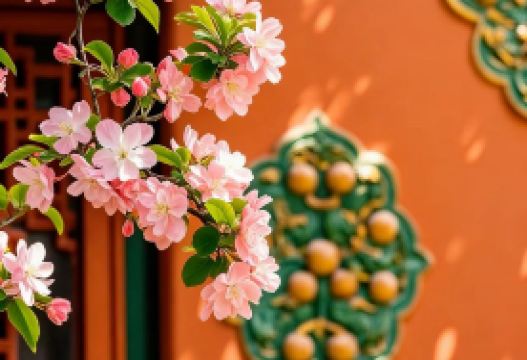 5-day 4-night · Group Tours · Beijing + The Palace Museum + Beijing Yuyuantan Park + Badaling Great Wall + China National Botanical Garden + Yuantucheng Ruins Park + Temple of Heaven + Summer Palace · (Group for International Travelers) Cherry blossom viewing at Yuyuantan Park (March-April), accommodation at internationally rated 5-diamond hotels, and an exclusive small-group tour for up to 12 guests with no shopping stops.