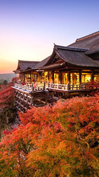 5天4晚 • 日本京都府京都伏見稻荷大社