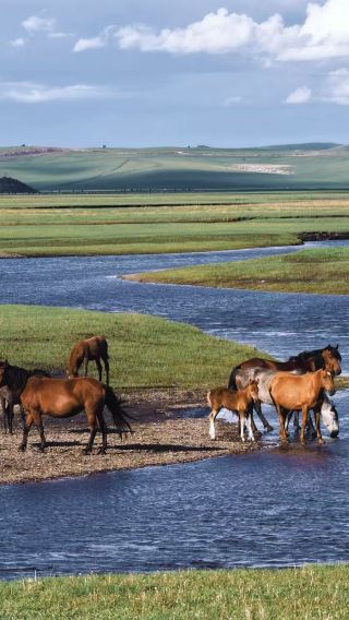 7D6N • China Inner Mongolia Hailar + Ergun Wetland Park + Heishantou Downtown + Manzhouli Guomen Scenic Area + Hulun Lake
