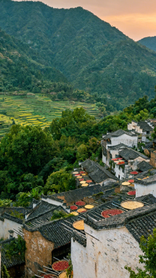 4D3N • Huangshan Scenic Area + Hongcun Village + Wuyuan Huangling Scenic Area