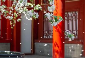 6日5晚 · 獨立包團 · 北京+故宮博物院+明十三陵+前門大街 · 不購物、不車販、不設自費加遊【宿2-3環亞朵或漫心等品牌酒店】四大世遺故宮+頤和園+長城+天壇 一次北京深度體驗 一單一團 專導陪玩
