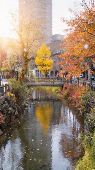 6天5晚 • 日本北海道登別+洞爺湖町+小樽+札幌+美瑛町+旭川