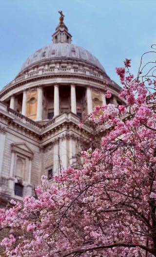 6D5N • United Kingdom + London + Cambridge + Oxford + Windsor + Bath + Dover