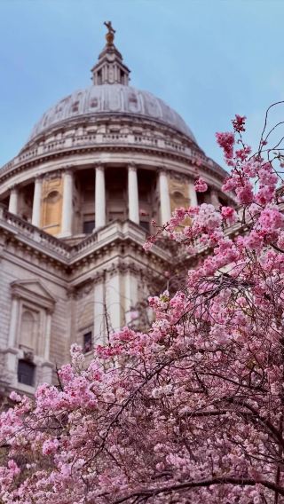 6D5N • United Kingdom + London + Cambridge + Oxford + Windsor + Bath + Dover