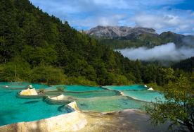 9D8N · Group Tours · Chengdu + Zhangjiajie + Jiuzhaigou National Park + Huanglong National Scenic Area + Zhangjiajie National Forest Park + Fenghuang Ancient Town · (Group for International Travelers) No shopping, no service fees, includes guide, free transfer , 5-diamond hotels. Immerse yourself in the breathtaking natural beauty of wetland park and embark on an unforgettable hike through the stunning Zhangjiajie Forest Park. Marvel at the awe-inspiring Avatar Mountain, a sight that captures the imagination. Our expert team, with years of experience in welcoming international guests, ensures a seamless and enriching experience.