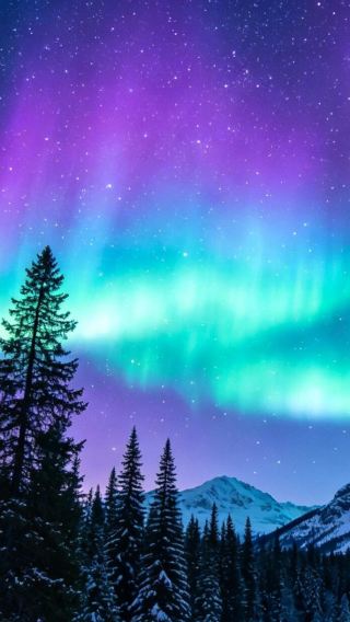 3D2N • Mini group tour: Mohe , Arctic Village, aurora viewing, reindeer interaction, fun , no shopping , nice boutique stays.