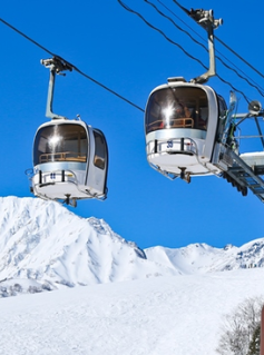 7 วัน 4 คืน • GO2NGO-TG094 HAKUBA TAKAYAMA TOKYO SKI FUJI WINTER 7D 4N โดยสายการบินไทย [TG]