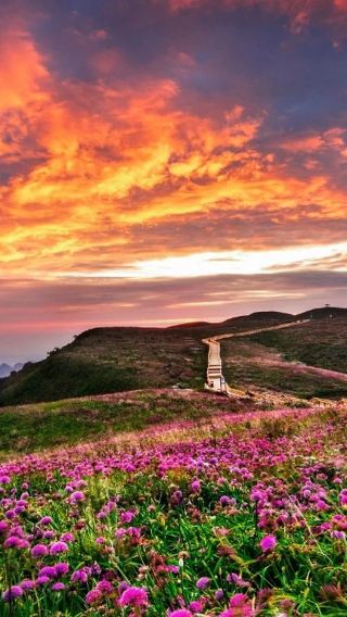 7D6N • China + Guiyang + Huangguoshu Waterfall + Wanfenglin Scenic Area + Maling River Canyon + Xijiang Qianhu Miao Village + Libo+FAST