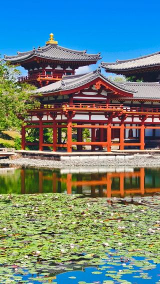 5D4N • Osaka Prefecture + Kyoto Prefecture + Nara Prefecture + Kobe