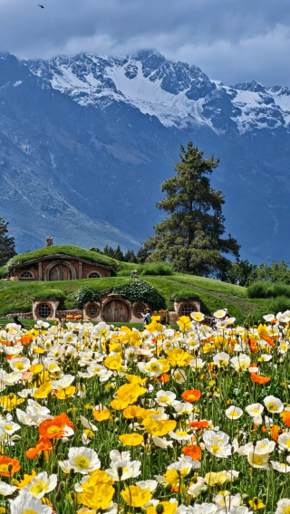 10D9N • Lijiang, Dali, Shangri-La, Lugu Lake Scenic Area: Visit three major ancient towns—Dali Ancient City, Old Town of Lijiang, and Dukezong Ancient Town—Yulong Snow Mountain, Tiger Leaping Gorge, tour around Erhai Lake, and experience intangible cultural heritage handicrafts
