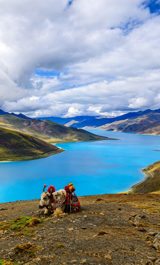 5D4N • Lhasa + Potala Palace + Yamdrok Yumtso