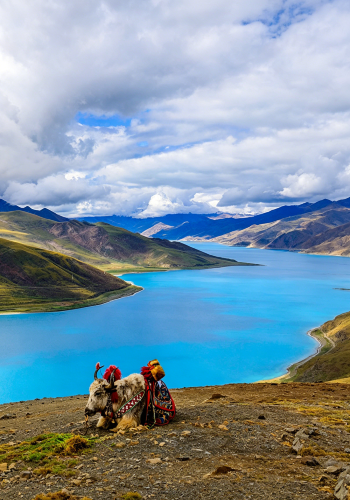 5D4N • Lhasa + Potala Palace + Yamdrok Yumtso