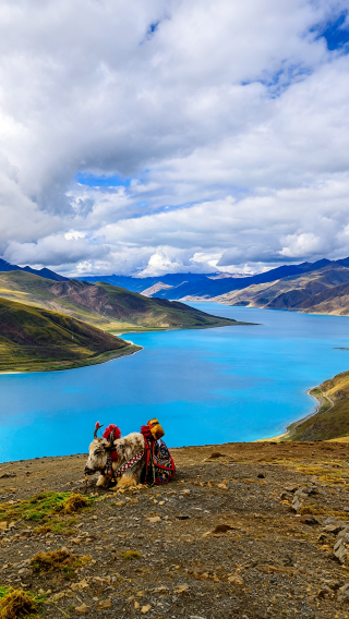 5D4N • Lhasa + Potala Palace + Yamdrok Yumtso