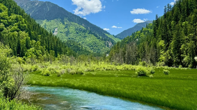 6D5N · Private Tours · Sichuan Holiday Fun: Full Day In-Depth Tour
