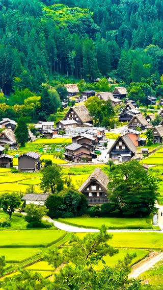 4天3晚 • 日本富士山＋箱根＋鎌倉＋白川鄉＋高山＋金澤