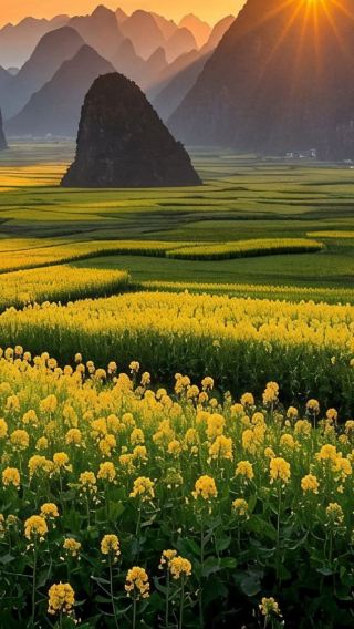 6天5晚 • 貴州貴陽＋黃果樹景區＋興義萬峰林景區＋馬嶺河峽谷景區＋荔波小七孔景區＋西江千戶苗寨 20人團 零購物