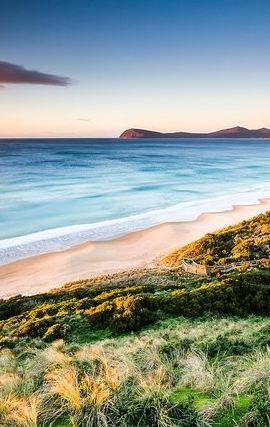 2D1N • 2 Day Tasmanian Highlights Tour-Hobart Highlights & Bruny Island