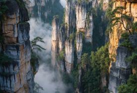 11D10N · Private Tours · China Classic Discovery: Forbidden City, Great Wall, Tianmen Mountain, Zhangjiajie & Chengdu Pandas · English-Speaking Guide Included · Experience China's top attractions across Beijing, Changsha, Zhangjiajie and Chengdu, with seamless transportation, English-speaking guides and flexible private travel.