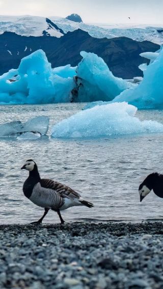 9D8N • Iceland - Stay at Blue Lagoon, Visit Iconic Sights & Explore Pristine Nature - Custom Private Itinerary Available