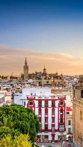 8D7N • Andalusian Tradition