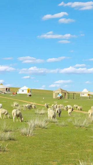 6D5N • “Private airport pickup available upon inquiry” Inner Mongolia: Hohhot + Xilamuren Grasslands + Whistling Dune Bay in Ordos
