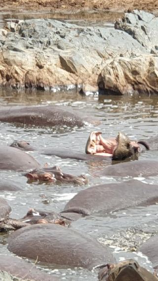 6D5N • Tanzania: 6-Day Luxury Safari to Serengeti and Ngorongoro