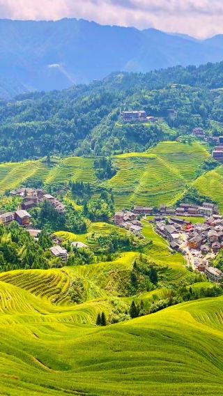 5D4N • Discover Guilin & Yangshuo & Longji Terraces + Enjoy free airport transfer, no forced shopping, dedicated driver and tour guide service