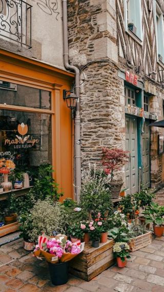 4D3N • Paris, France + Normandy + Mont Saint-Michel + Old Town of Rennes + guided tours of the Louvre Palace and Palace of Versailles, plus a Seine River cruise experience