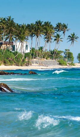 8D7N • 8-Day Sri Lanka Private Tour |Sigiriya, Kandy' Ella, Yala |Hotels