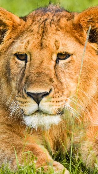 11D10N • 2-person private Kenya wildlife tour not happy with this itinerary contact our online support below for a bespoke route to realize all your African dreams