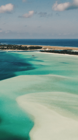 3D2N • Swim with Whale Sharks: Multi-Day Dhangethi Adventure