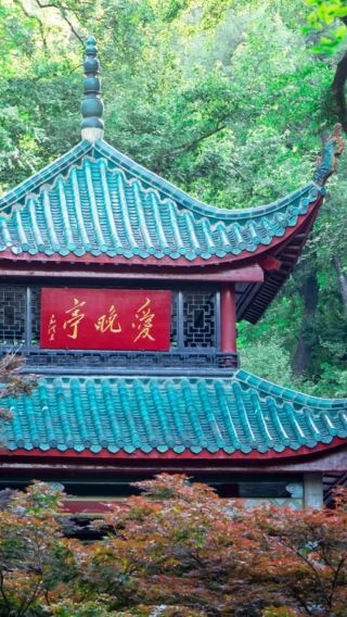 3D2N • 6-Person Group: Changsha + Orange Isle + Hunan Provincial Museum + Shaoshan