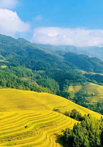 5D4N • Included: Round-Trip HSR Tickets & Guangzhou Transfer - Guilin, Yangshuo, Li River 3-Star Cruise, and Longji Rice Terraces with Round-Trip Cable Car