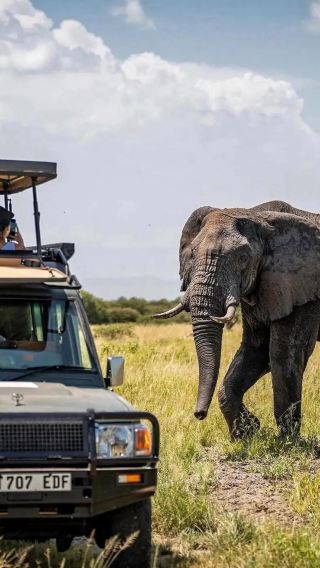 5D4N • Not satisfied with the itinerary,Get free exclusive itinerary planning & Multiple in-depth safaris tracking wildlife in Masai Mara National Reserve