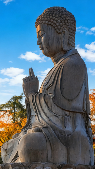 6D5N • Shaanxi + Xi'an + The Hukou Waterfall Scenic Area + Emperor Qinshihuang's Mausoleum Site Museum